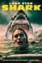 Nonton film Lone Star Shark (2025) - Pusatmovie21